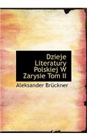 Dzieje Literatury Polskiej W Zarysie Tom II