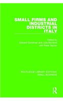 Small Firms and Industrial Districts in Italy