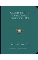 Camels Of The Fossil Genus Camelops (1913): (English)