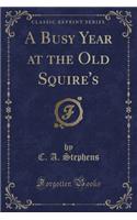 A Busy Year at the Old Squire's (Classic Reprint)