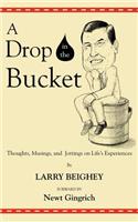 A Drop in the Bucket: Thoughts, Musings, and Jottings on Life's Experiences(English)