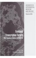 Forkhead Transcription Factors