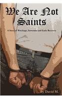 We Are Not Saints: A story of wreckage, surrender and early recovery(English)