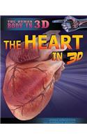 The Heart in 3D