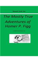 Novel Unit for The Mostly True Adventures of Homer P. Figg