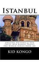 Istanbul: (20 Travel the World)