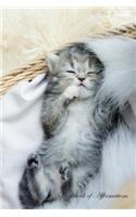 Cute Tabby Kitten Workbook of Affirmations Cute Tabby Kitten Workbook of Affirmations: Bullet Journal, Food Diary, Recipe Notebook, Planner, To Do List, Scrapbook, Academic Notepad