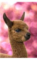 Absolutely Adorable Little Brown Alpaca Journal
