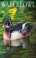 Waterfowl Ducks 2022 Wall Calendar