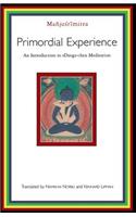 Primordial Experience