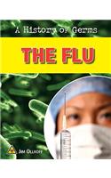 Flu
