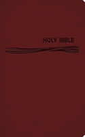 Ceb Common English Deep Blue Kids Bible Decotone Burgundy