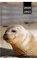 Seal Manatee Sea Lion Cow Walrus Dugong Week Planner Weekly Organizer Calendar 2020 / 2021 - Tired on Beach