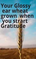 Your Glossy ear wheat grown when you start gratitude journal dairy gratitude