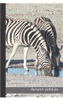 desert zebras