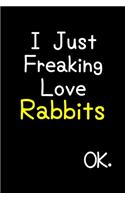 I Just Freaking Love Rabbits Ok.