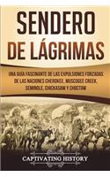 Sendero de Lágrimas: Una Guía Fascinante de las Expulsiones Forzadas de las Naciones Cherokee, Muscogee Creek, Seminole, Chickasaw y Choctaw (Libro en Español/Trail of T