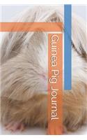 Guinea Pig Journal