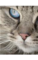 Composition Notebook - Kitty Cat (Graph Paper): 100 Graph Pages - Student Notebook