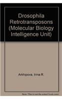 Drosophila Retrotransposons