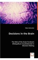 Decisions in the Brain
