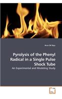 Pyrolysis of the Phenyl Radical in a Single Pulse Shock Tube