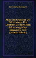 Atlas Und Grundriss Der Bakteriologie Und Lehrbuch Der Speciellen Bakteriologischen Diagnostik: Text (German Edition)