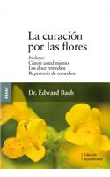 Curacion Por Las Flores, La