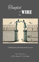 Tangled in the Wire