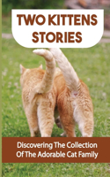 Two Kittens Stories: Discovering The Collection Of The Adorable Cat Family: A Picture Book Of Cats