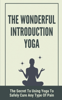 The Wonderful Introduction Yoga