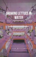Growing Lettuce In Water: The Ultimate Beginners Guide to Building a Hydroponic System