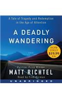 A Deadly Wandering Unabridged CD