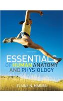 Essentials of Human Anatomy &Physiology