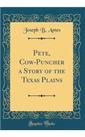 Pete, Cow-Puncher a Story of the Texas Plains (Classic Reprint)