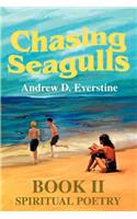 Chasing Seagulls