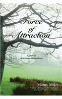 Force of Attraction: A Novel of the North of Ireland Series