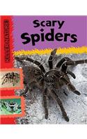 Scary Spiders