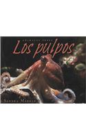 Los Pulpos
