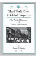 Third World Cities In Global Perspective