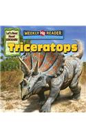 Triceratops