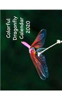 Colorful Dragonfly Calendar 2020