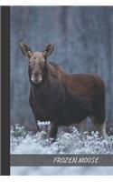 Frozen Moose