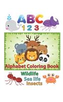 ABC 123 Alphabet Coloring Book