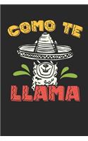 Como te: Lined Journal Lined Notebook 6x9 110 Pages Ruled