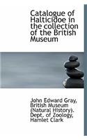 Catalogue of Halticidoe in the Collection of the British Museum