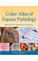 Color Atlas of Equine Pathology
