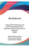 Redwood