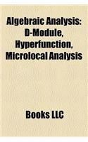 Algebraic Analysis