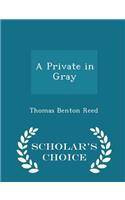 A Private in Gray - Scholar's Choice Edition